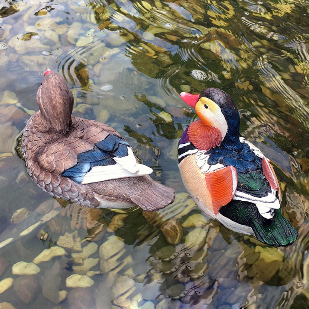 2 Pcs Bird Statue Garden Decorations Pond Floating Decor Large Mandarin Duck