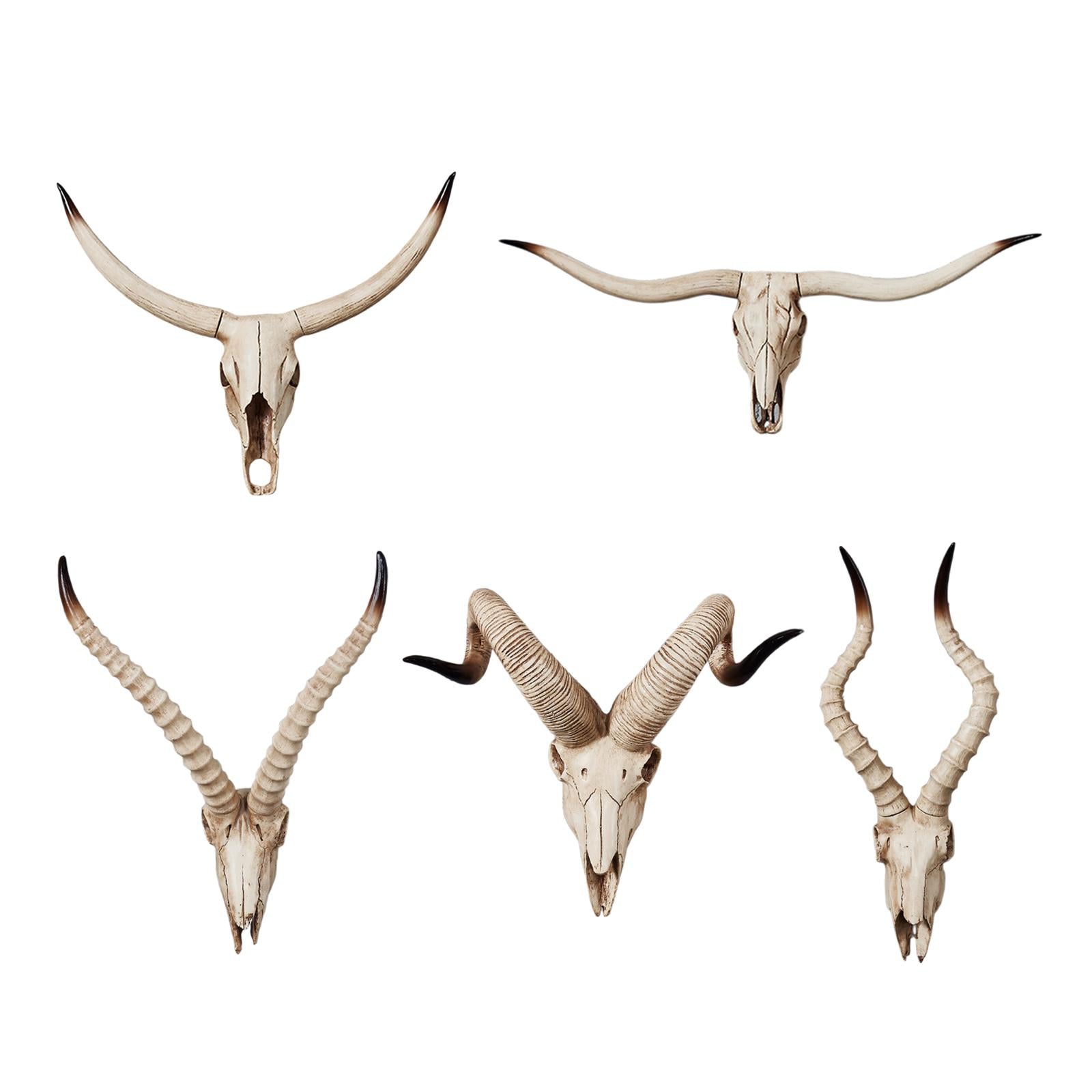 Resin Long Horned RAM Decor Skull Wall Mount Skull Decor for Home Office A 77.5x32x12cm