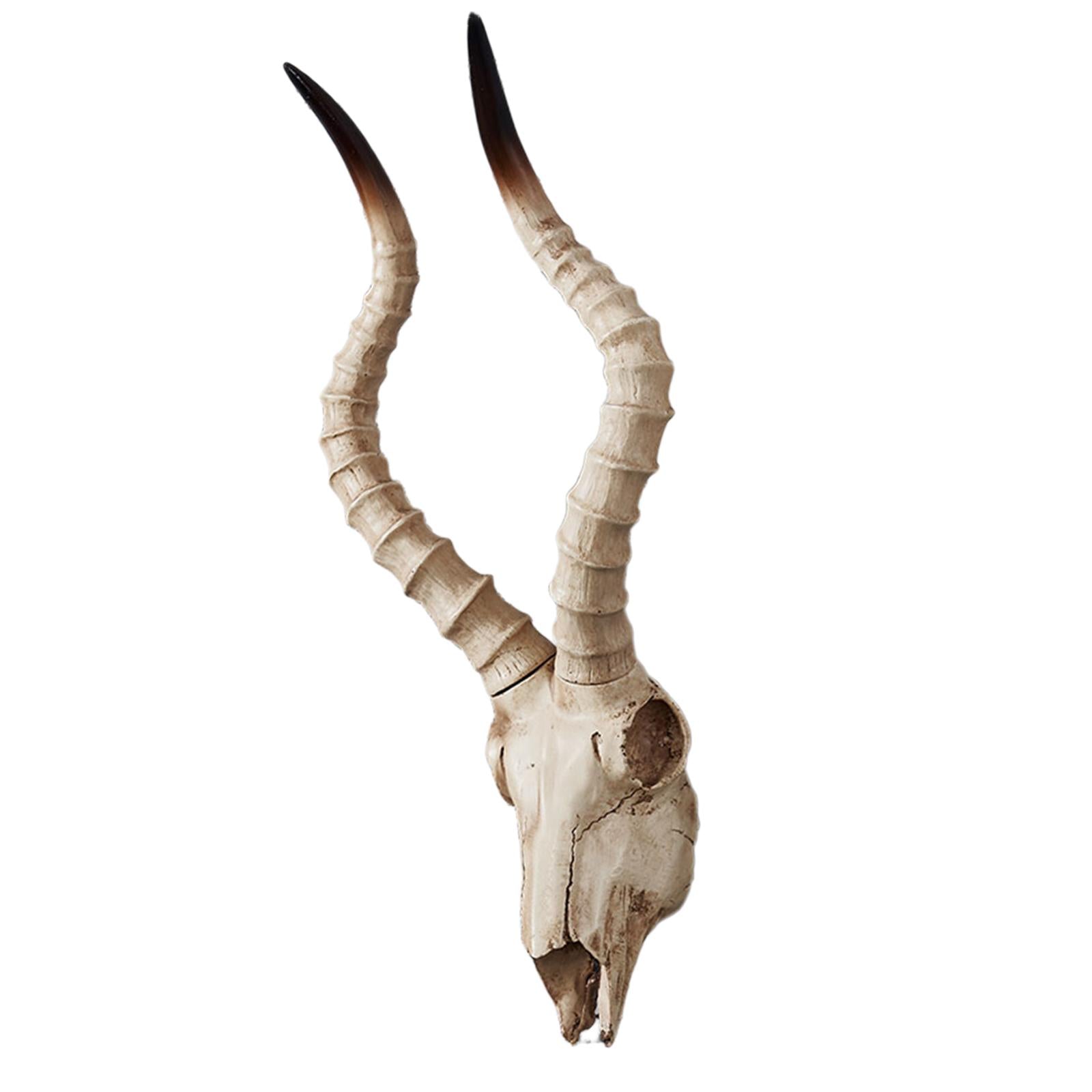 Resin Long Horned RAM Decor Skull Wall Mount Skull Decor for Home Office C 56.5x21.5x13cm