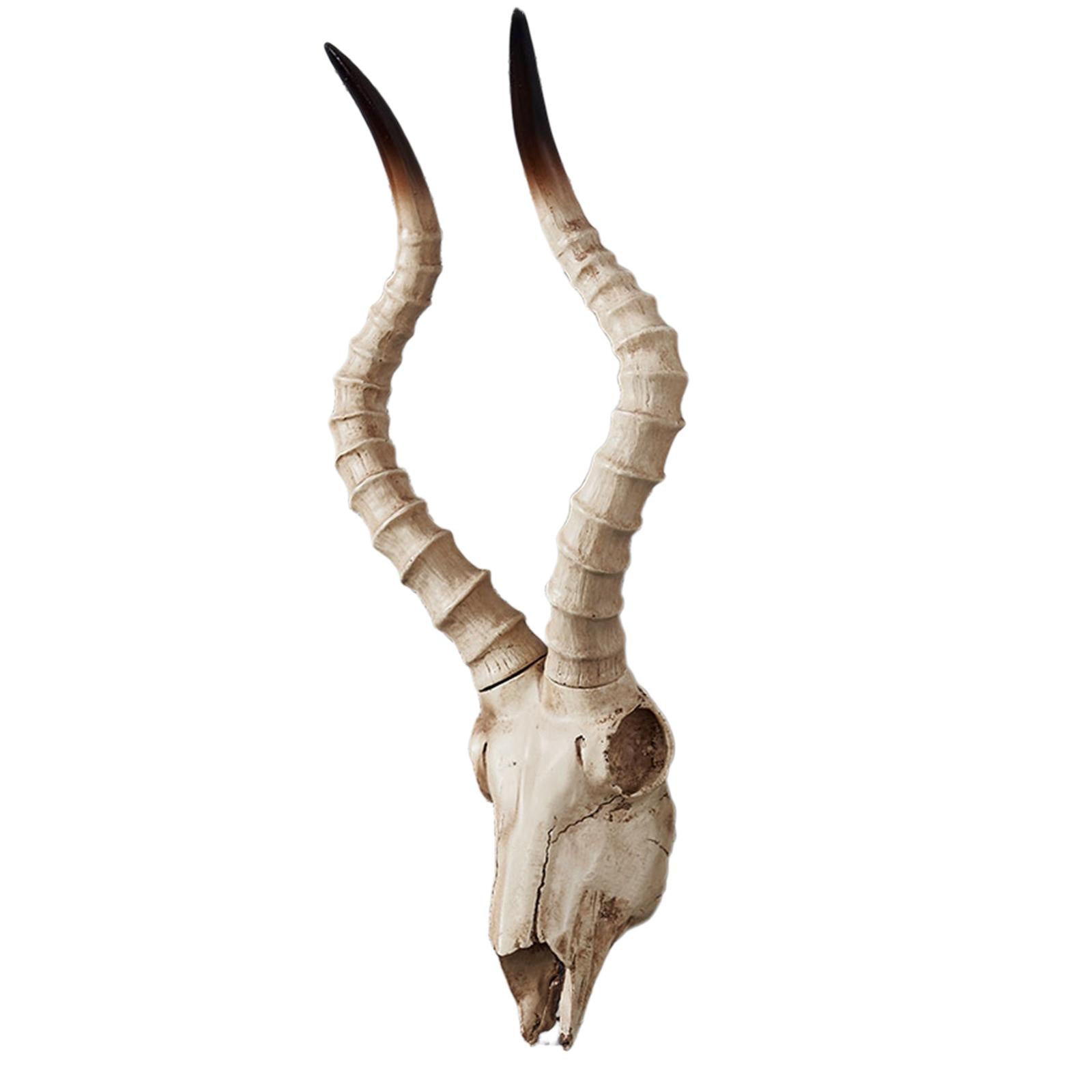 Resin Long Horned RAM Decor Skull Wall Mount Skull Decor for Home Office C 56.5x21.5x13cm