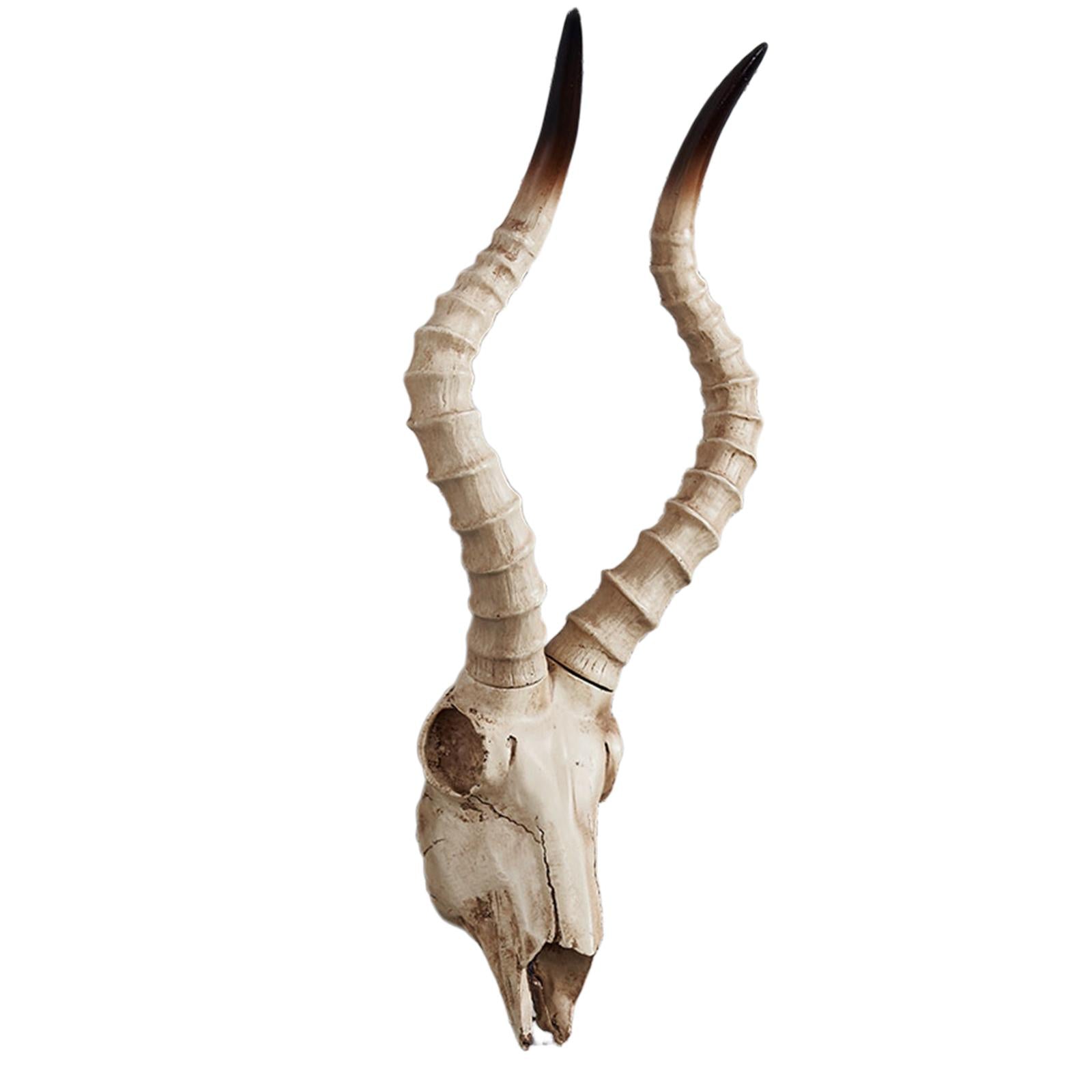 Resin Long Horned RAM Decor Skull Wall Mount Skull Decor for Home Office C 56.5x21.5x13cm