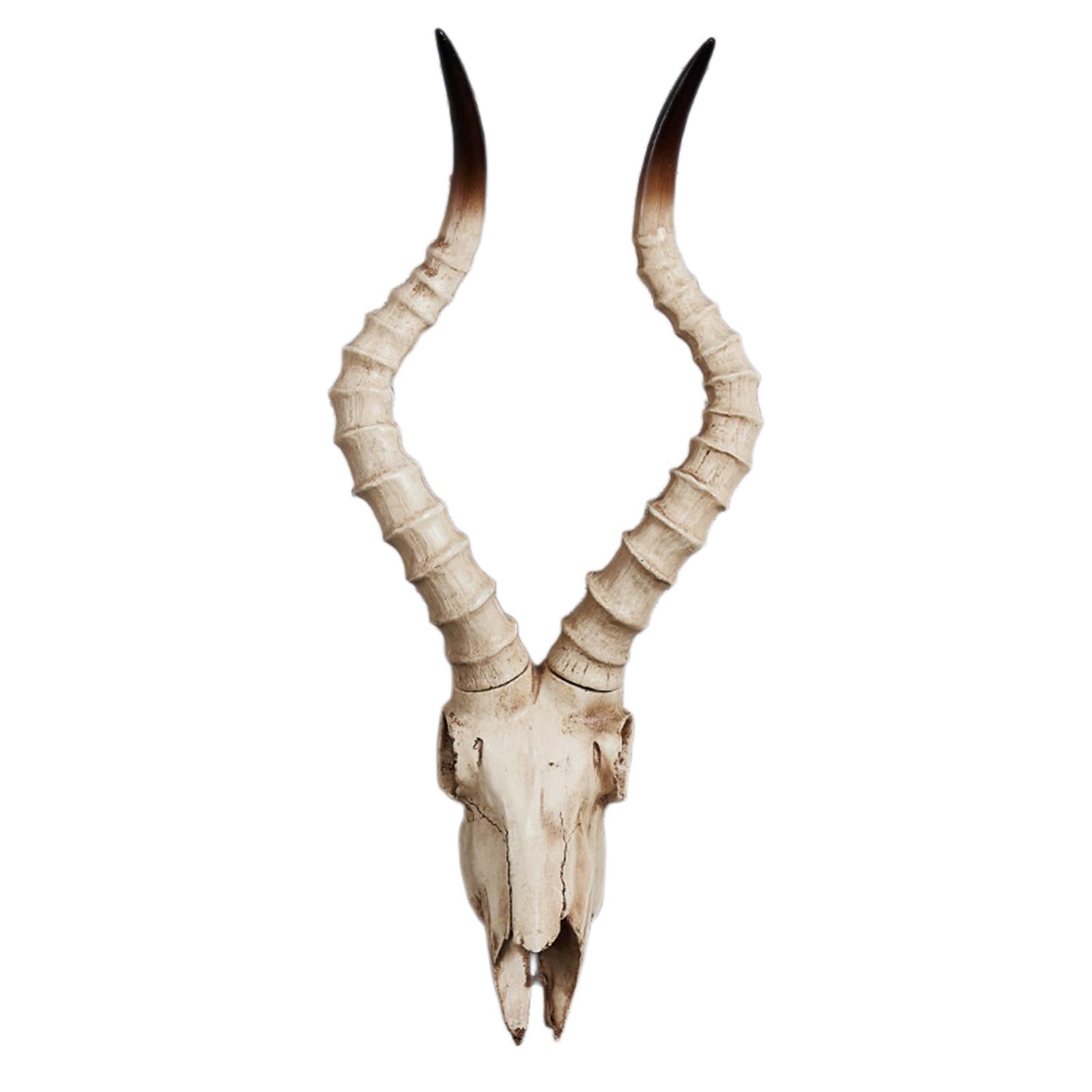 Resin Long Horned RAM Decor Skull Wall Mount Skull Decor for Home Office C 56.5x21.5x13cm