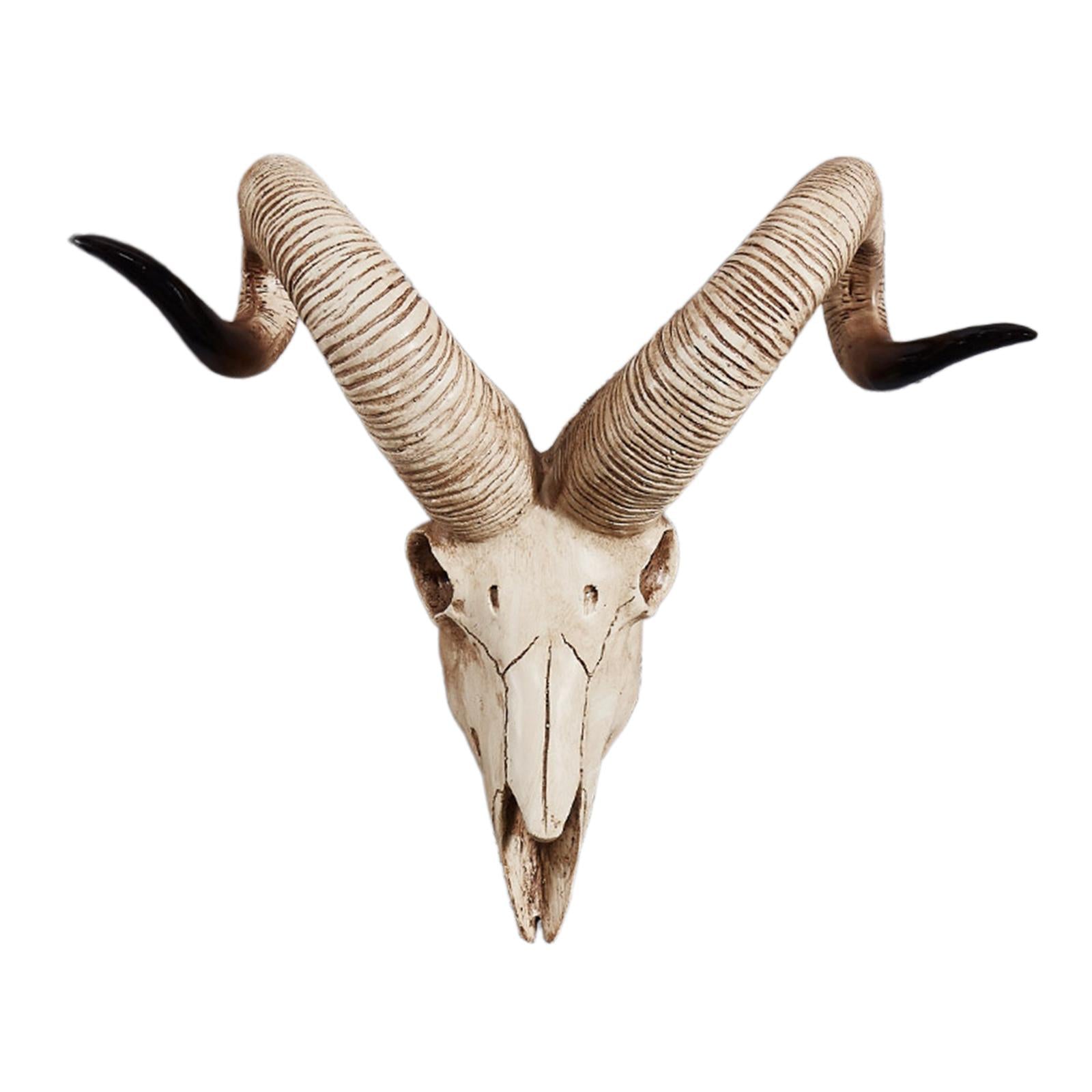 Resin Long Horned RAM Decor Skull Wall Mount Skull Decor for Home Office D 42x34x16cm