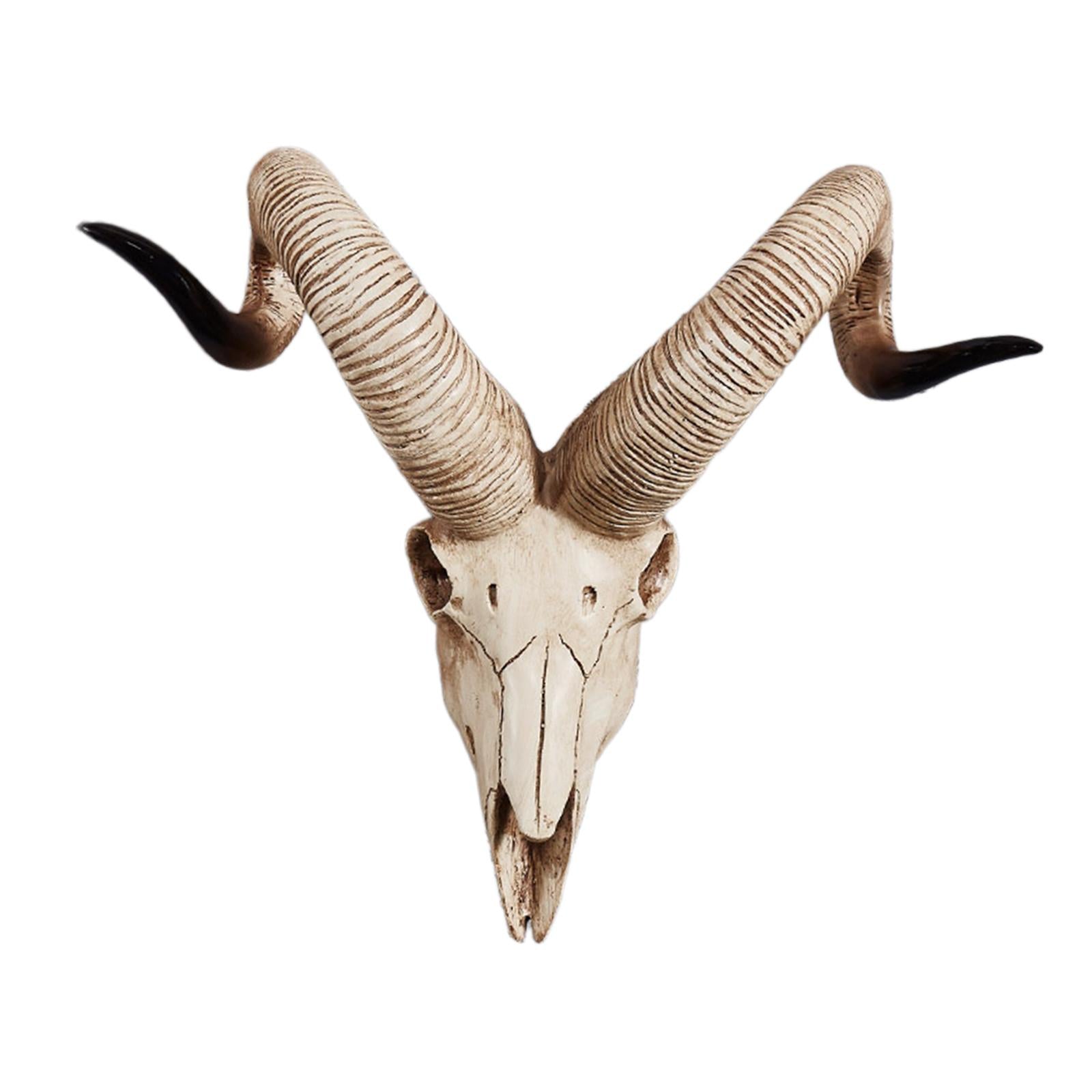 Resin Long Horned RAM Decor Skull Wall Mount Skull Decor for Home Office D 42x34x16cm