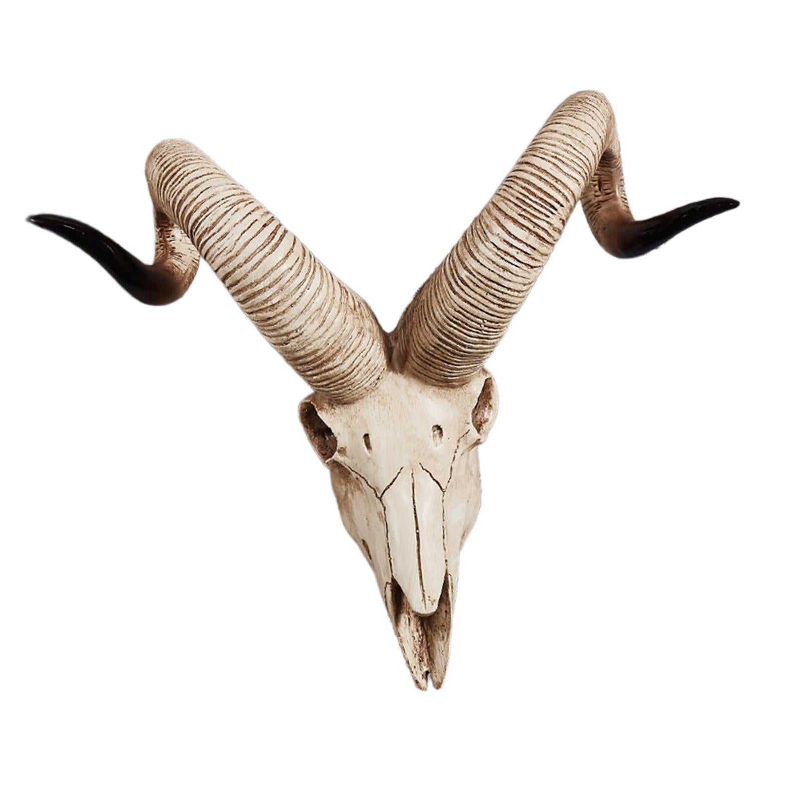 Resin Long Horned RAM Decor Skull Wall Mount Skull Decor for Home Office D 42x34x16cm