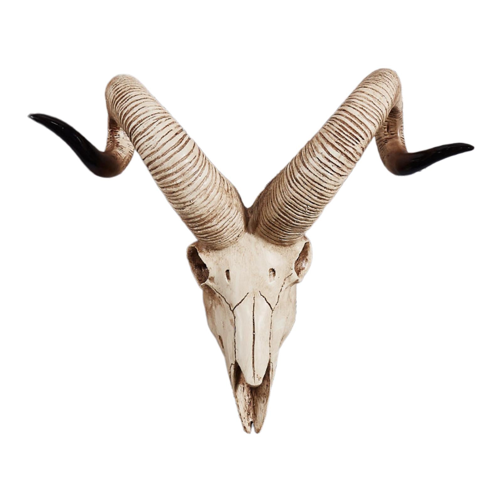 Resin Long Horned RAM Decor Skull Wall Mount Skull Decor for Home Office D 42x34x16cm