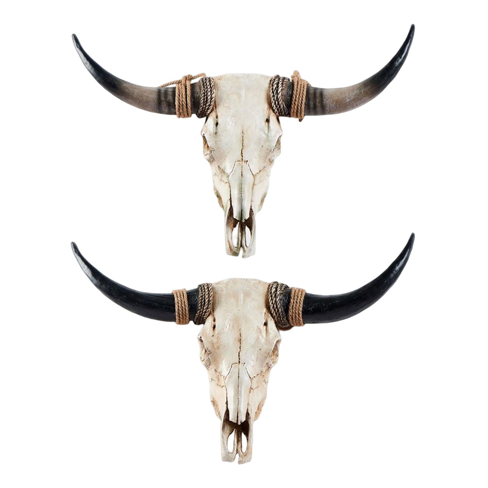 Animals Heads Wall Decor Long Horn Cow Skull Wall Sculpture Cow Decoration Brown Horn