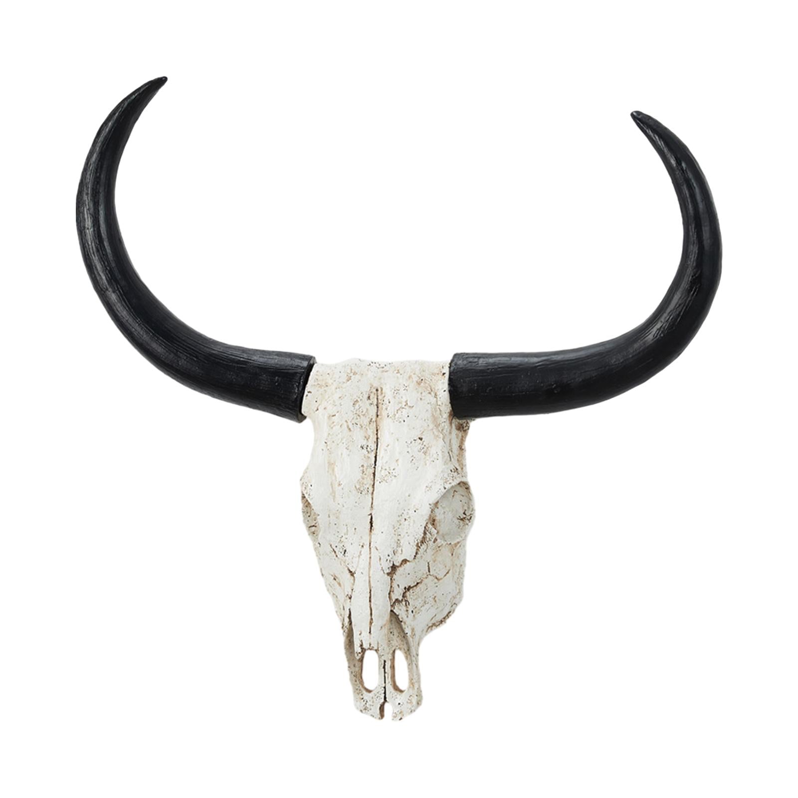 Long Horn Cow Skull Wall Sculpture Animals Heads Wall Decor for Cabinet Home Black