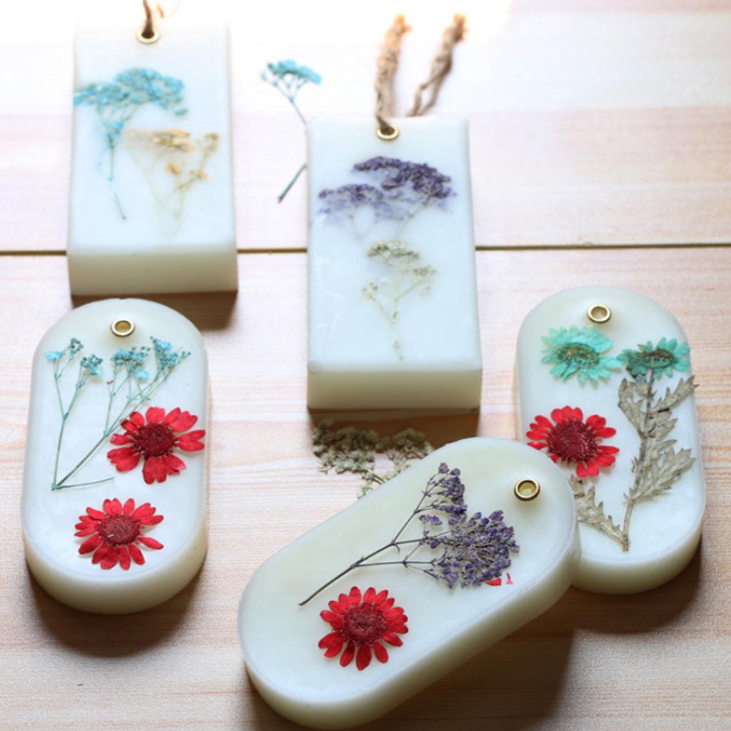 1 Set Natural Pressed Flowers Rose / Daisy / Larkspur / Myosotis Dried Pressed Flowers DIY Phone Case Decoration