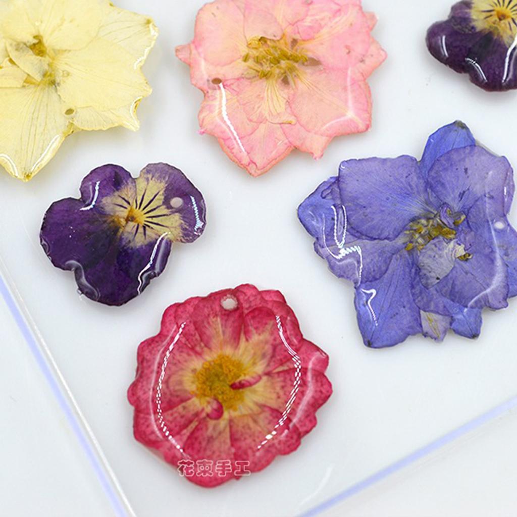 1 Set Natural Pressed Flowers Rose / Daisy / Larkspur / Myosotis Dried Pressed Flowers DIY Phone Case Decoration