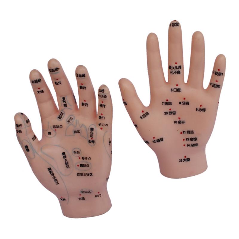 1 Pair PVC Human Acupuncture Point Meridian Hand Teaching Education