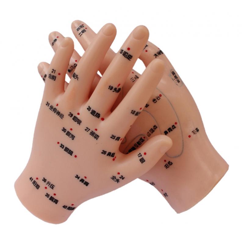 1 Pair PVC Human Acupuncture Point Meridian Hand Teaching Education