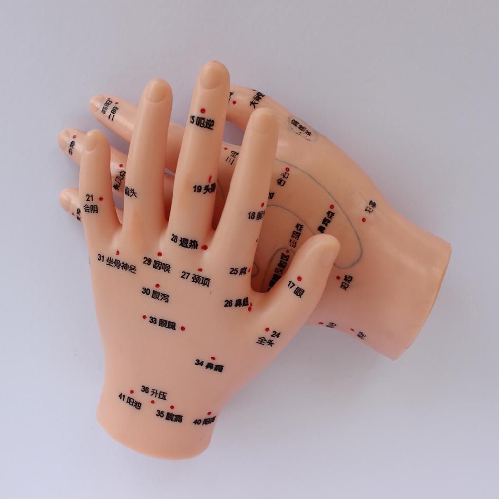 1 Pair PVC Human Acupuncture Point Meridian Hand Teaching Education