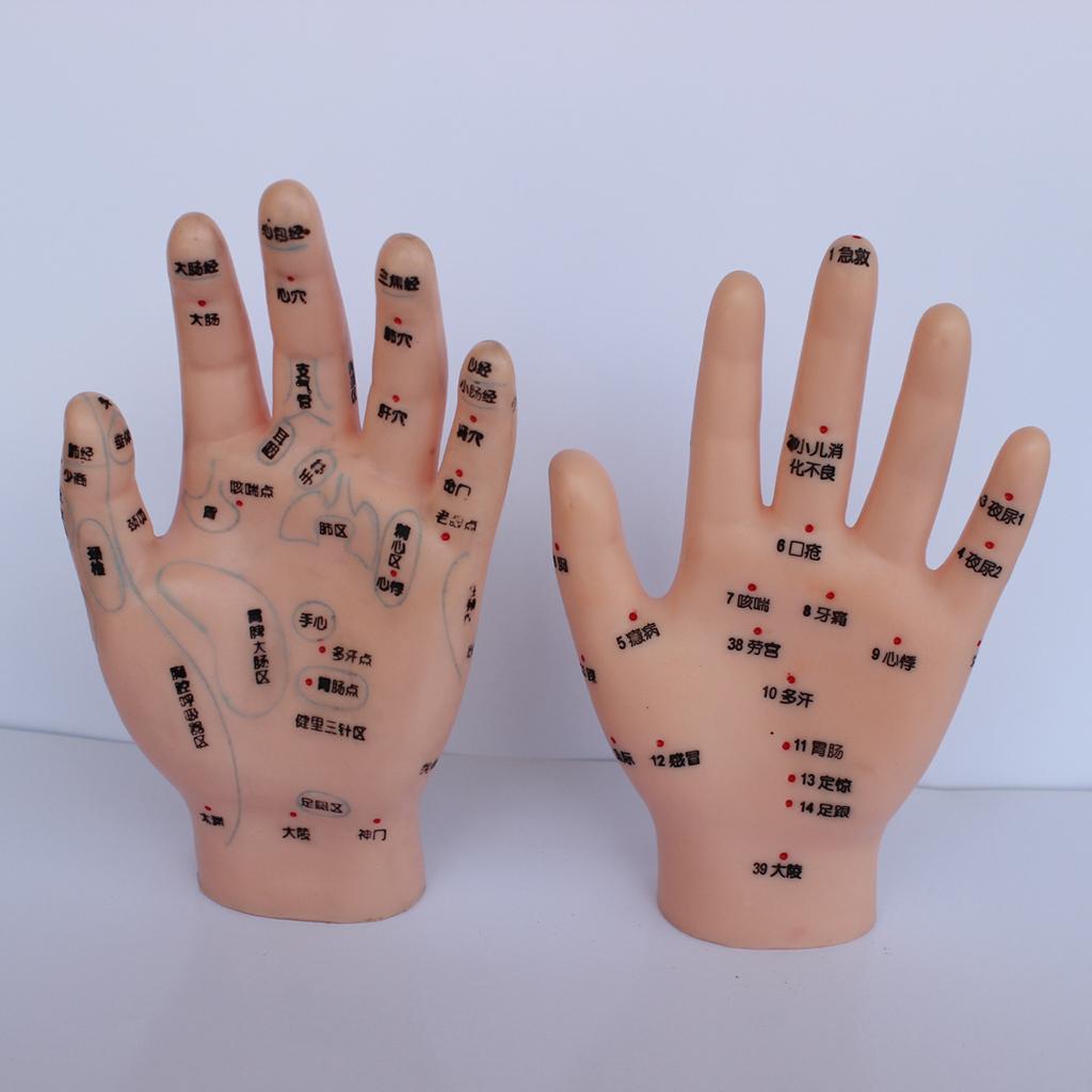 1 Pair PVC Human Acupuncture Point Meridian Hand Teaching Education