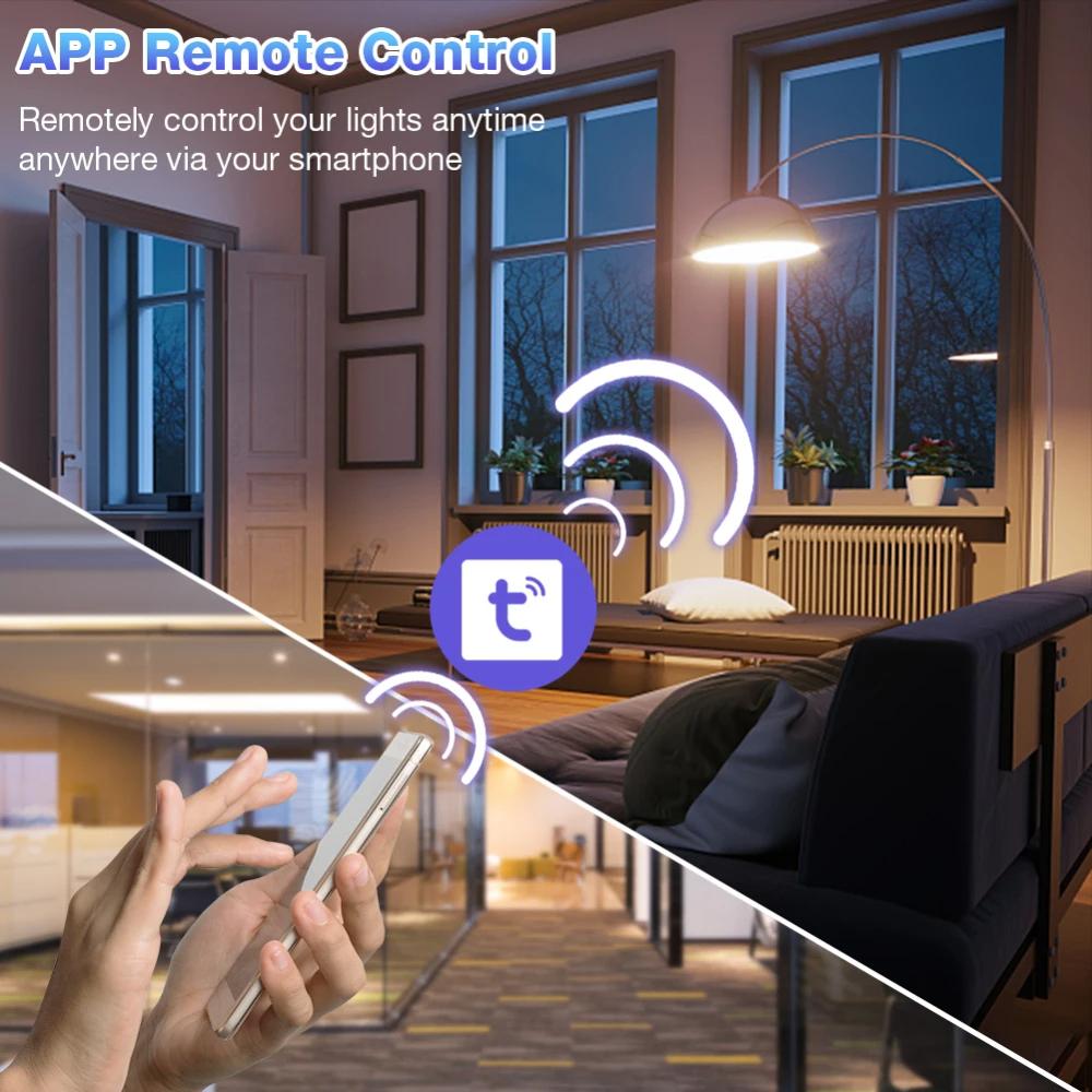 10A  Tuya WiFi Smart Switch Supports Amazon ALEXA/Google HOME Voice Control
